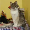 Отзыв от Дарья Парфенова